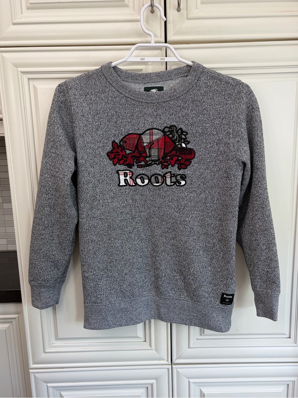 Roots grey beaver graphic youth sweatshirt